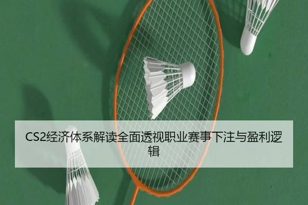 CS2经济体系解读全面透视职业赛事下注与盈利逻辑